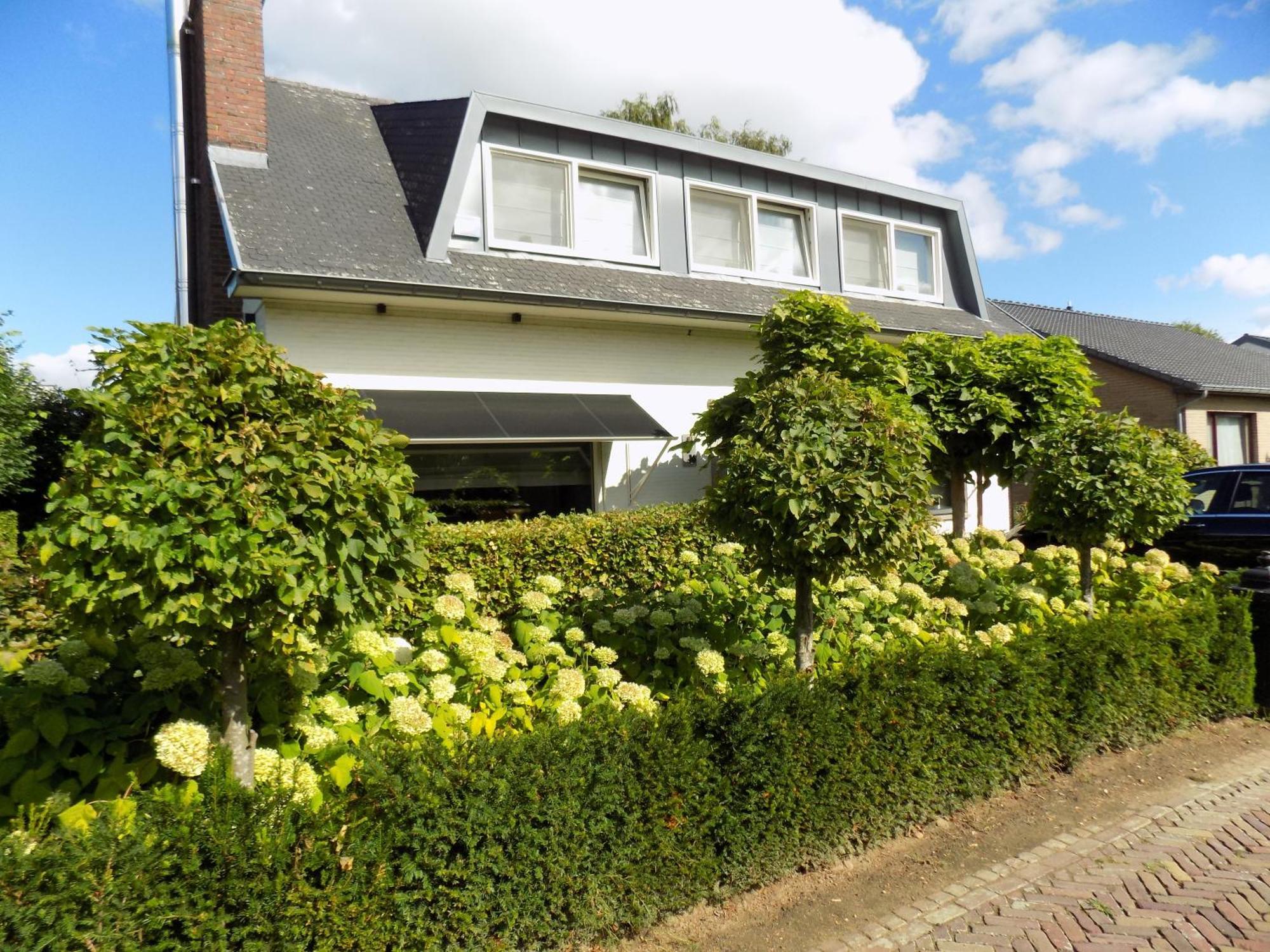 מסיק Villa Maas & Kempen מראה חיצוני תמונה